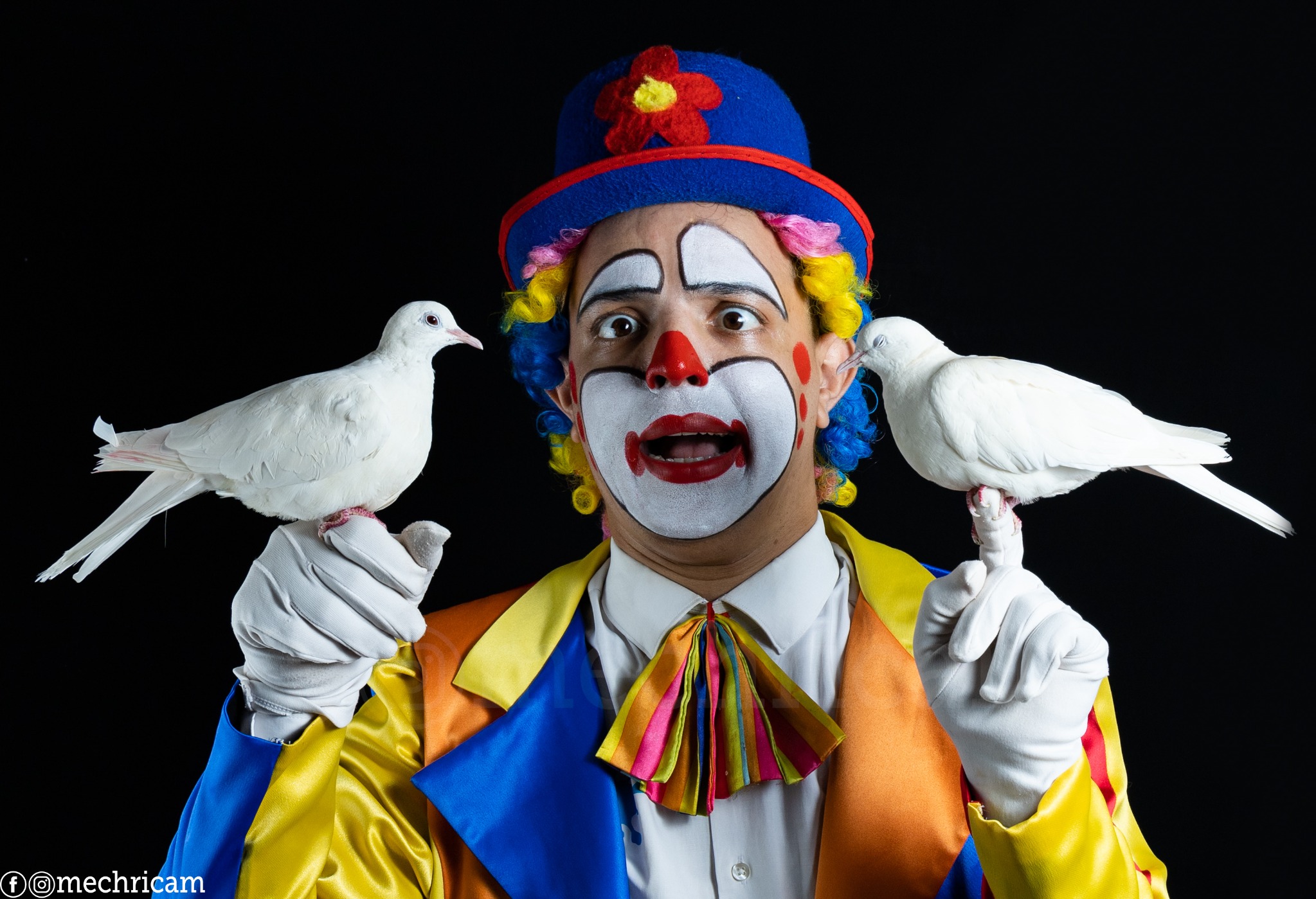 Animation Bingo le Clown